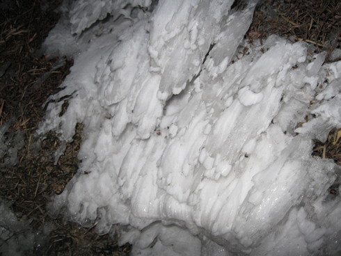 2011,1,11 「高千穂の峰」へ~~_a0125419_13363462.jpg