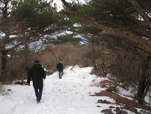 「下山」へ~~_a0125419_21534776.jpg
