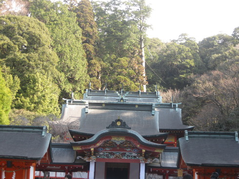 「霧島神宮」へ~~_a0125419_22262935.jpg