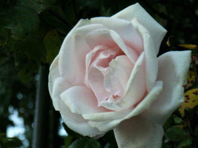 e0177824_22101844.jpg