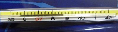ロッテ浦和自主トレ見学・・・1月11日、バキ倒れる_b0166128_840734.jpg