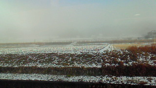 c0204228_0252861.jpg