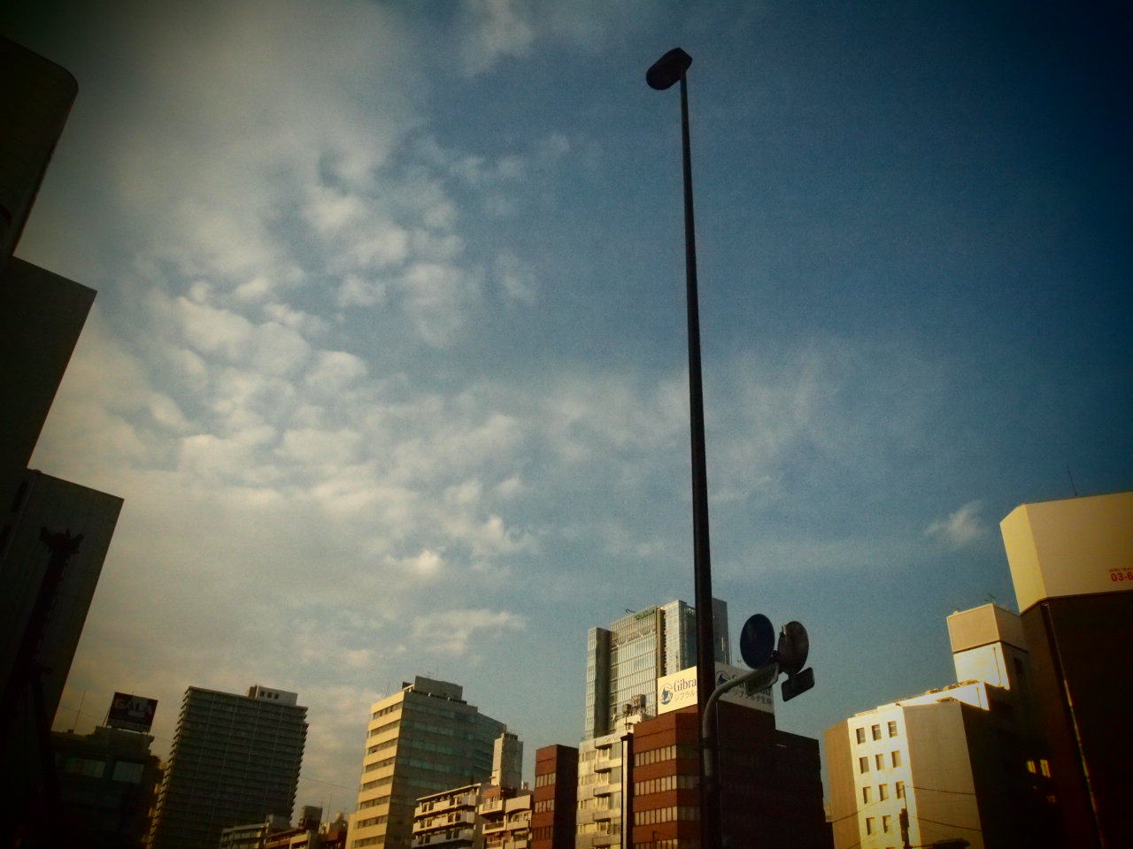 d0181330_1601286.jpg