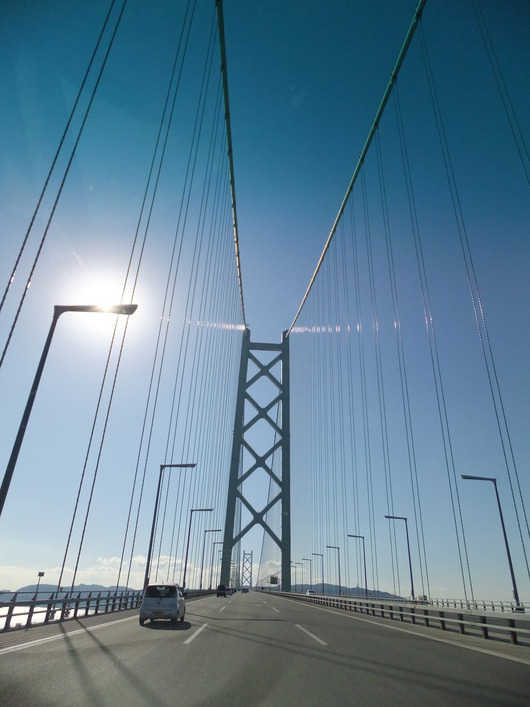 d0178432_1612041.jpg