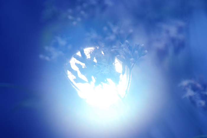 e0116532_11593553.jpg