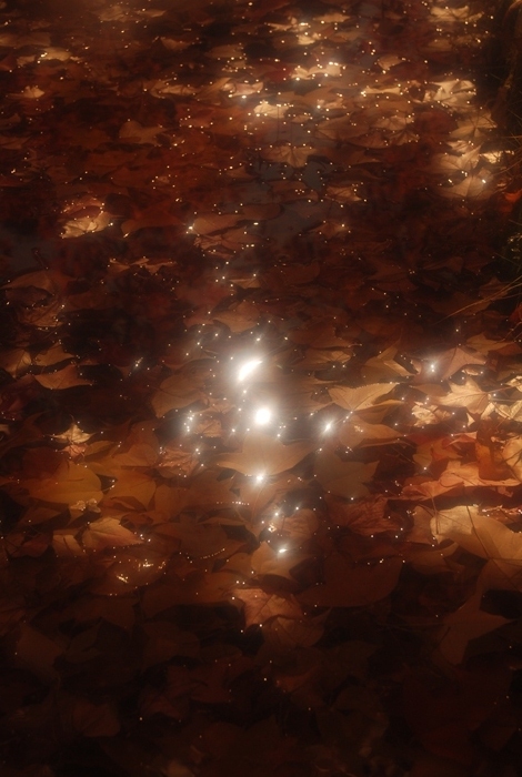 e0116532_12342913.jpg