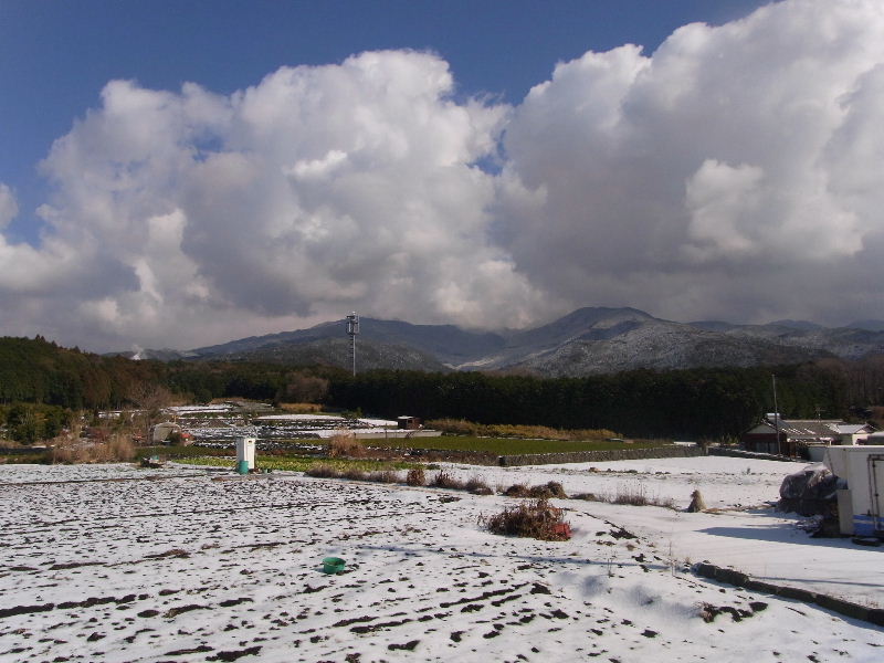 雪だぁ☆_f0082141_1165547.jpg