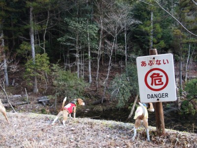 今年　初の　お散歩隊参加_c0119142_514635.jpg