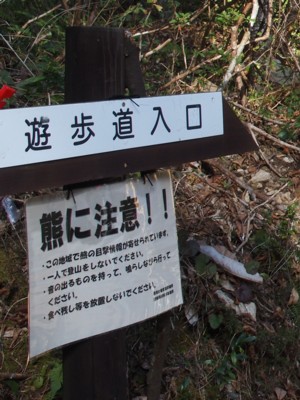 c0119142_5165482.jpg