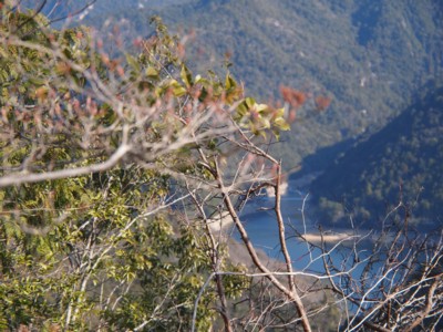 c0119142_542539.jpg