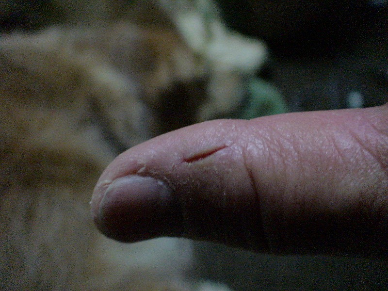 e0023643_2352781.jpg