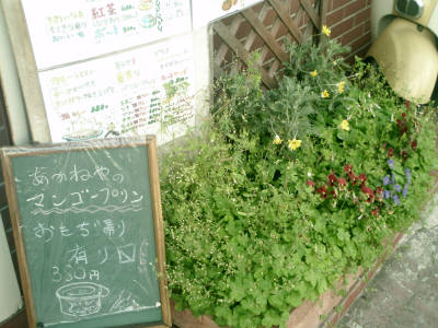 e0033751_17214864.jpg