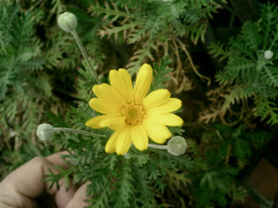 e0033751_19301445.jpg