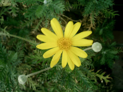 e0033751_19302938.jpg