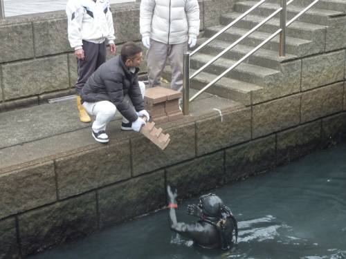 青年部屋仁川に納豆菌ブロック_c0159255_13462148.jpg