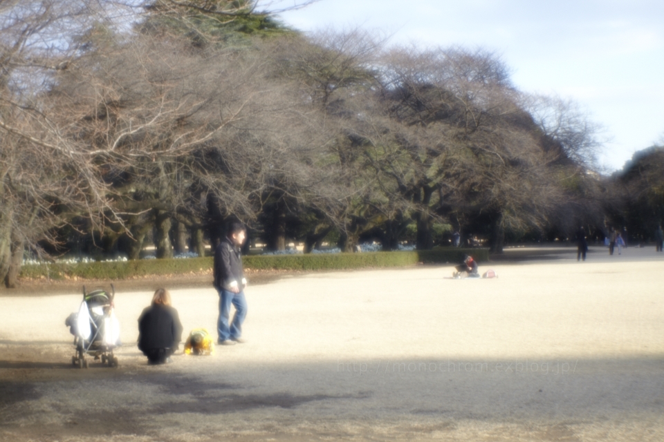 ベス単 フード外し vol.4 at Shinjuku Gyoen_c0219256_834341.jpg