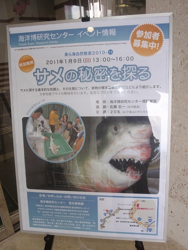 サメの秘密?!_c0180460_0431777.jpg