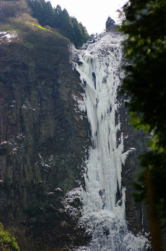 e0123262_23265744.jpg