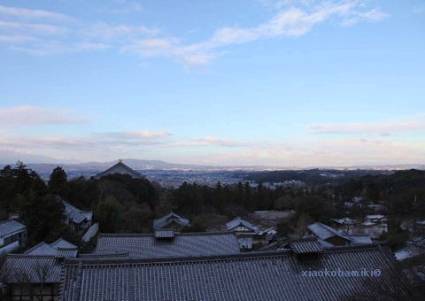 2011年元日　〆は東大寺_d0064266_5143379.jpg