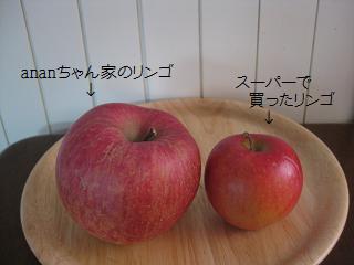 d0123068_1156781.jpg