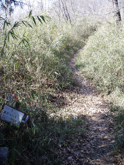 黒石峠 (藪塚瀧ノ入⇔廣澤岡の上)_b0004675_18124346.jpg