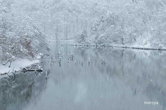 雪の湖_c0085877_6552713.jpg