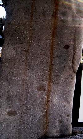 a0087378_54613.jpg