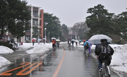 b0194185_22591294.jpg