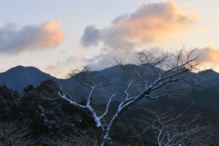 談山神社雪景_e0092186_16231877.jpg