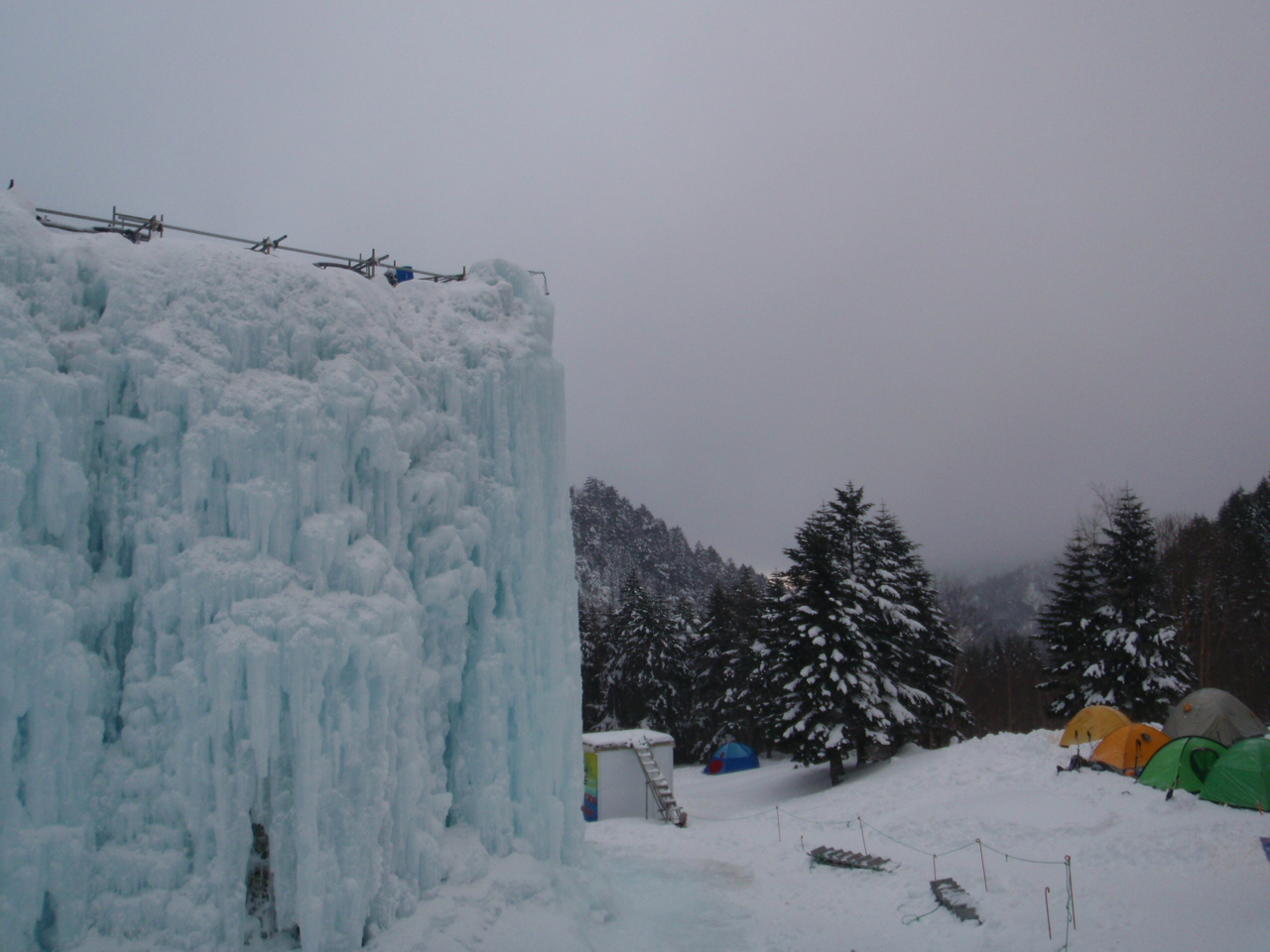d0034291_8575230.jpg