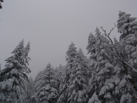 d0034291_96198.jpg