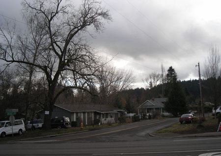 d0000995_14113329.jpg