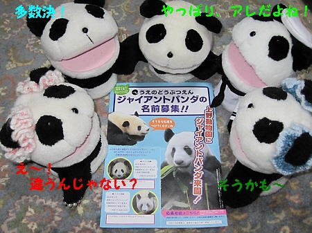応募しなきゃ~!_f0033598_00693.jpg