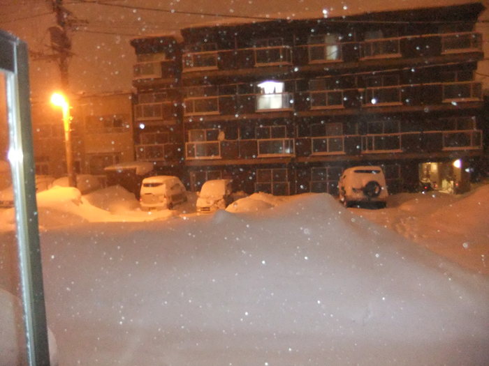 吹雪な　札幌　と　クララ！！_c0226202_19365394.jpg