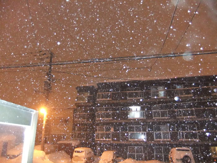 吹雪な　札幌　と　クララ！！_c0226202_19372145.jpg