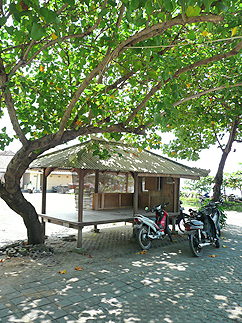 バリの風景５　地元漁民の憩いの場_b0014003_21525750.jpg