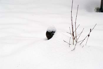 山瀬山小屋ドカ雪奮闘記　2_f0006704_1235077.jpg