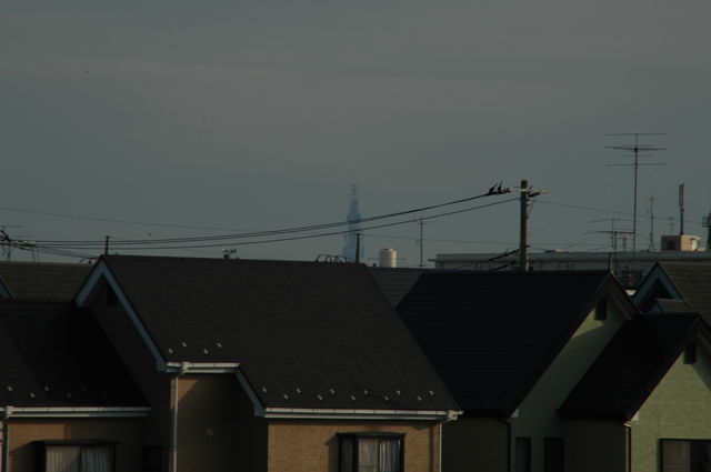a0017909_22294780.jpg