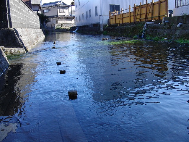 田宿川周辺の異常湧水?_f0141310_23151163.jpg