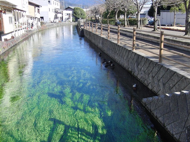 田宿川周辺の異常湧水?_f0141310_23153957.jpg