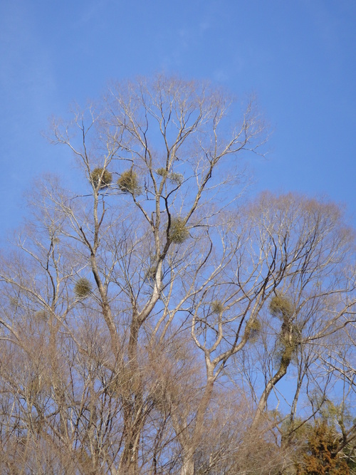 c0125414_2284979.jpg
