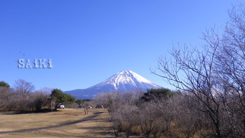 富士ふたたび（その１）_f0129214_14304335.jpg