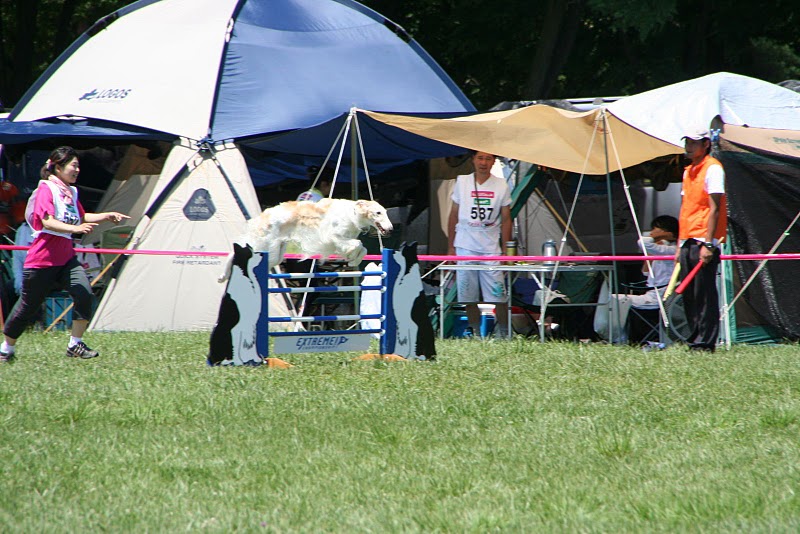 e0190220_16165248.jpg