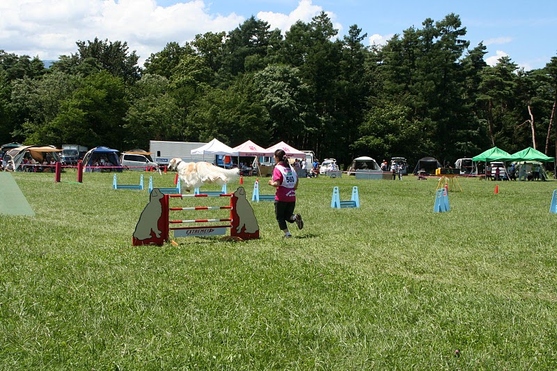 e0190220_16195633.jpg