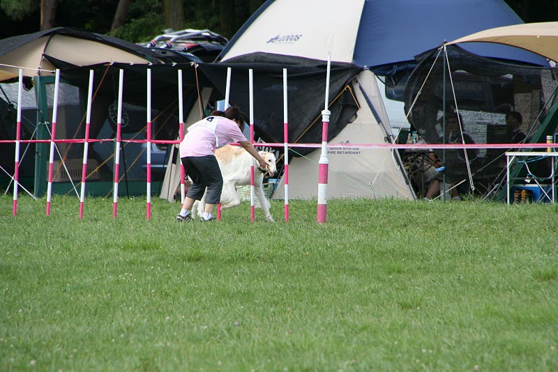 e0190220_1645220.jpg