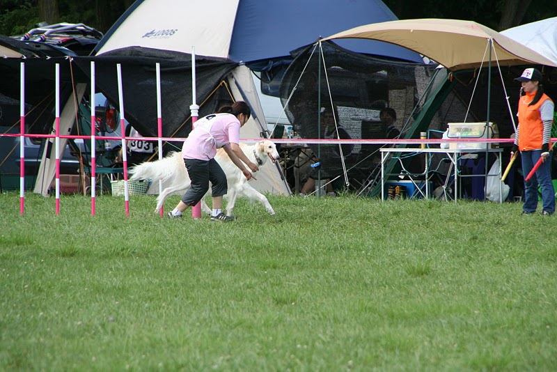 e0190220_1651894.jpg