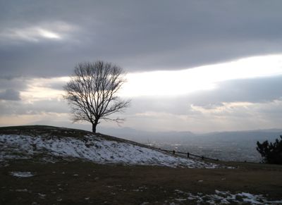 f0158625_1614777.jpg