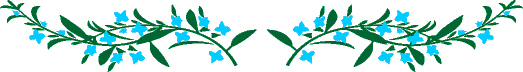 b0127531_0233487.gif