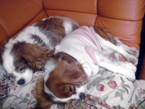 e0109336_20103346.jpg