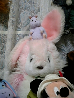 c0036138_21374840.jpg
